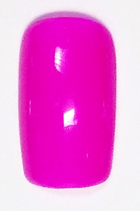 紫紅  艷彩  (9) 