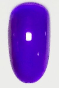 (10)紫藍