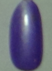 紫藍  珠光  (10)