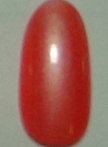 橘紅  珠光  (7)